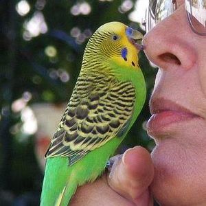 Meet your Posher, Lee